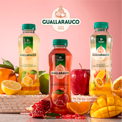 Agua de Frutas Cítricas 500ml x 6