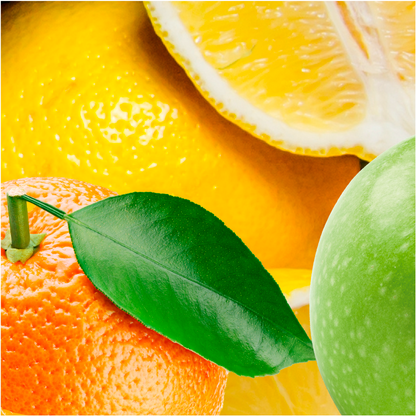 Agua de Frutas Cítricas 500ml x 6