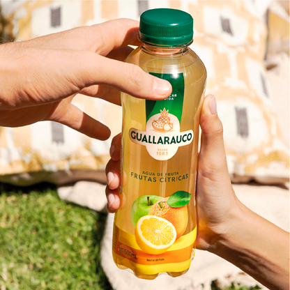 Agua de Frutas Cítricas 500ml x 6