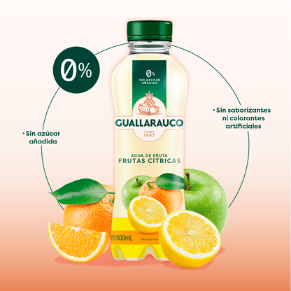 Agua de Frutas Cítricas 500ml x 6