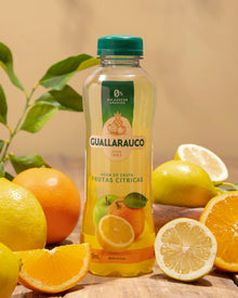 Agua de Frutas Cítricas 500ml x 6