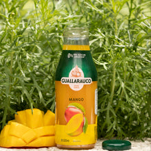 Néctar Mango 300ml x6