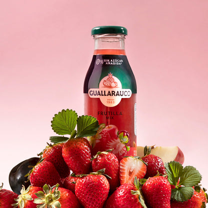 Jugo Frutilla Mix 300ml x6