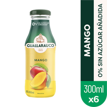 Néctar Mango 300ml x6