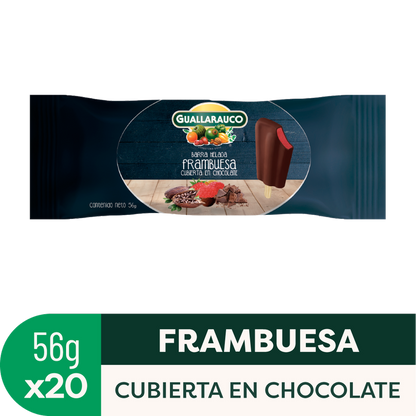 Barra de frambuesa chocolate x20
