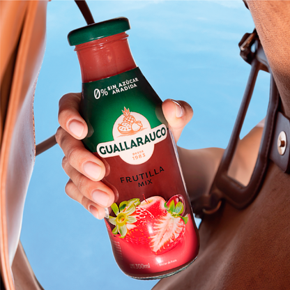 Jugo Frutilla Mix 300ml x6