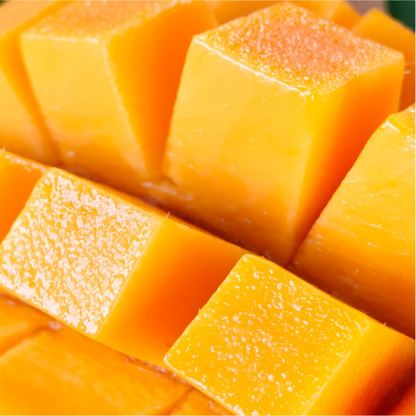 Néctar Mango 1L