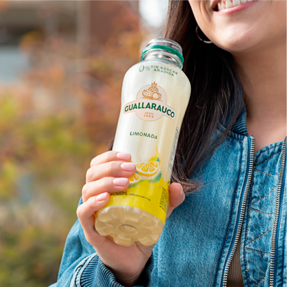 Limonada 500ml x6