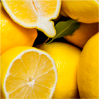 Limonada 500ml x6