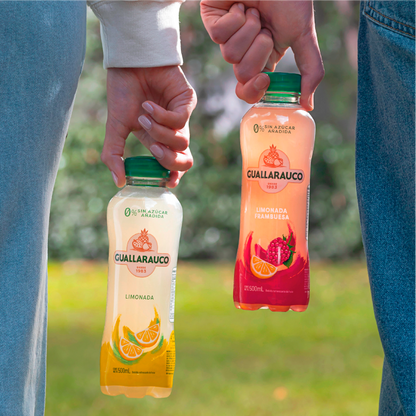 Limonada 500ml x6