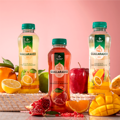 Agua de Fruta Mango Maracuyá 500ml x6