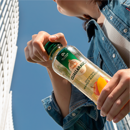 Agua de Fruta Mango Maracuyá 500ml x6