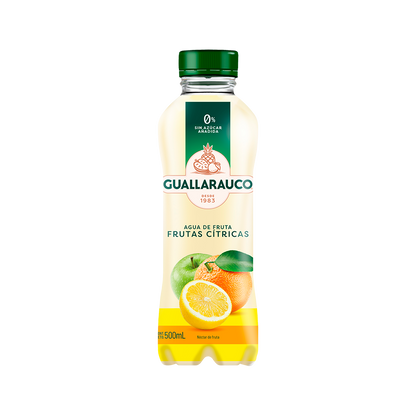 Agua de Frutas Cítricas 500ml x 6