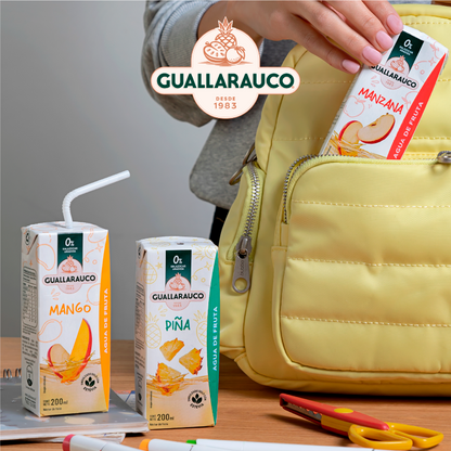 Agua de Fruta Mango 200ml x24
