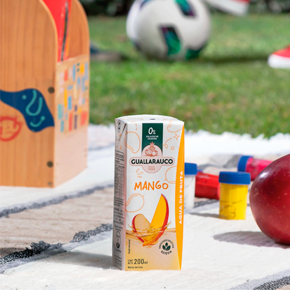 Agua de Fruta Mango 200ml x24