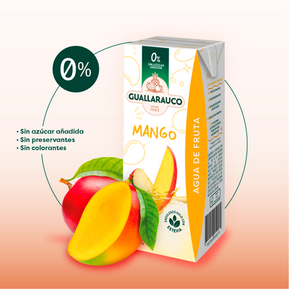 Agua de Fruta Mango 200ml x24