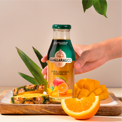 Néctar Piña Mango Naranja 300ml x6
