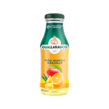 Néctar Mango 300ml x6