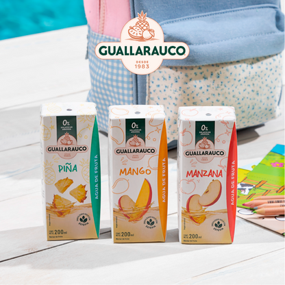 Agua de Fruta Piña 200ml x24