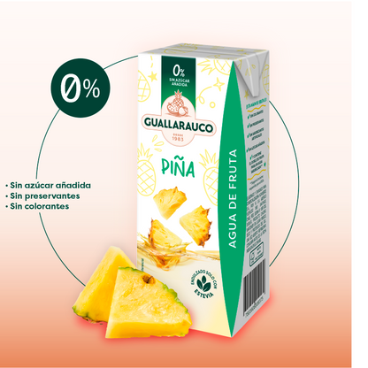 Agua de Fruta Piña 200ml x24