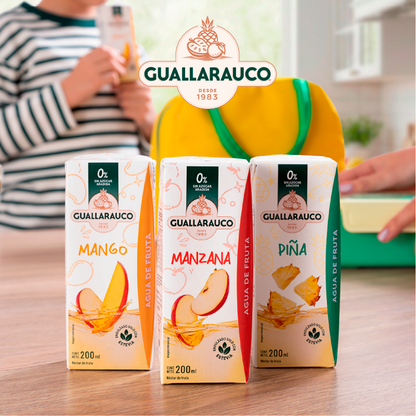 Agua de Fruta Manzana 200ml x24