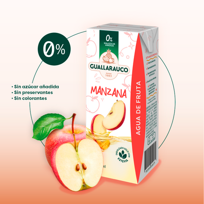 Agua de Fruta Manzana 200ml x24